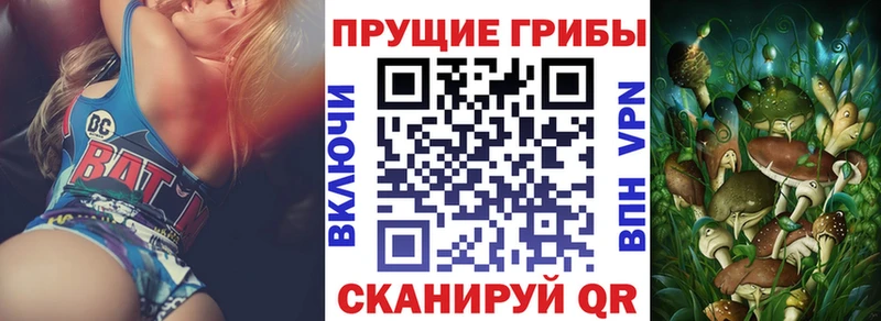 Галлюциногенные грибы мицелий  shop клад  Тюмень 